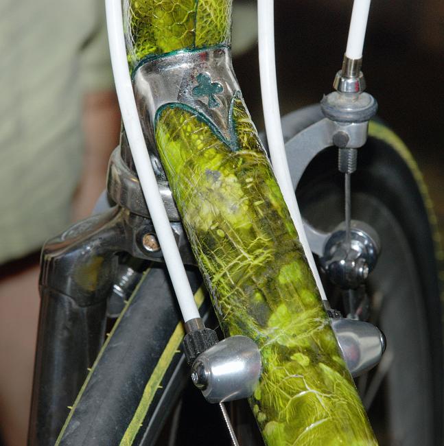 DSC_7905a.jpg - Colnago with dyed Ostrich skin applique.