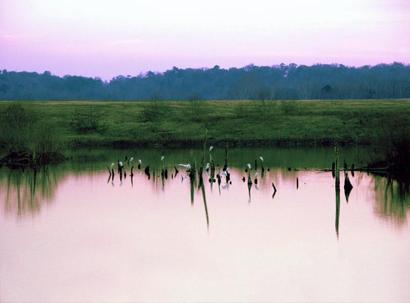 PICT1896.jpg - Chattahoochee River, Columbus, GA. Jan 2003.  Minolta Dimage 7, 50mm f 3.5 @ 1/180