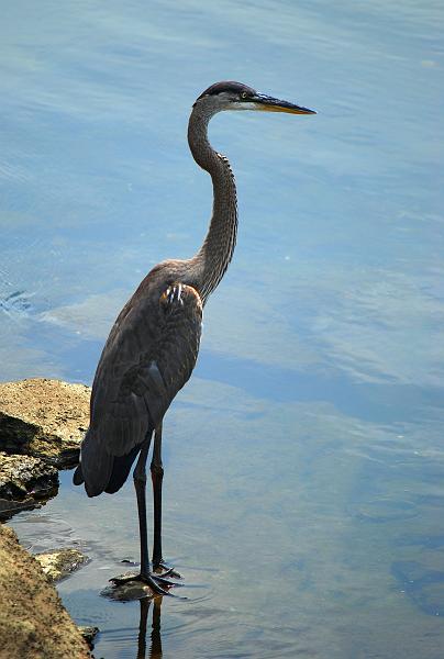 DSC_1560a.jpg