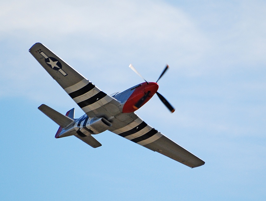 DSC_6869a.jpg - Probably the Mustang's most recognizeable feature is the ventral scoop for the radiator. Heated air exiting from the rear actually provided some thrust. Early Mustangs had an Allison engine that restricted it to low altitudes and ground attack duties.  But when paired with the Rolls Royce/Packard Merlin engine, it became what many consider the best fighter of WWII.